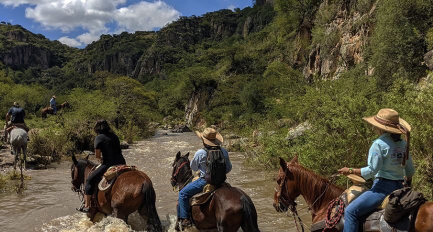 Camping Excursion