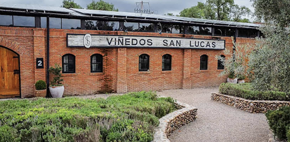 San Lucas Vineyard Tasting & Tour