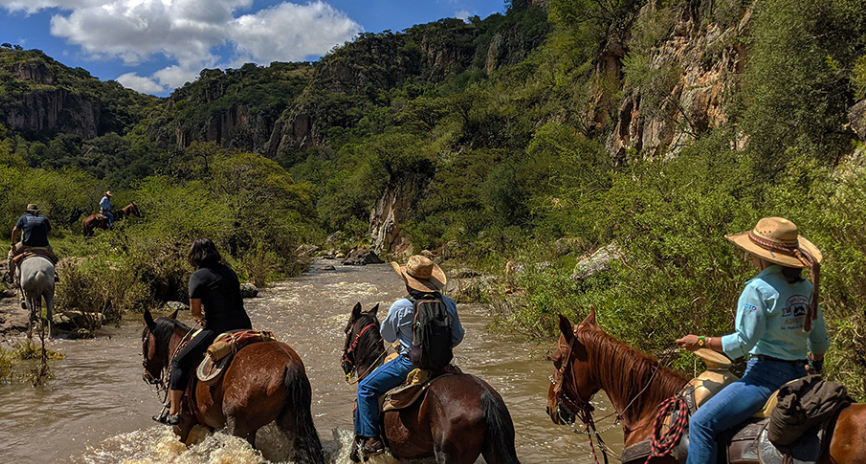 Half-Day Horseback Riding (Riding in the Canyon)
