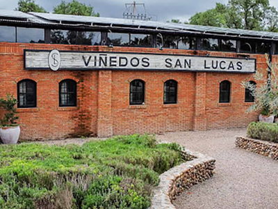 San Lucas Vineyard Tasting & Tour