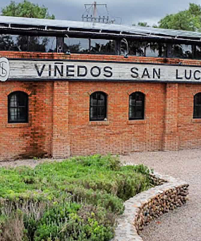 San Lucas Vineyard Tasting & Tour