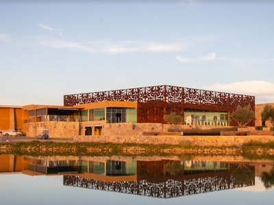 Tres Raíces Vineyard Tasting & Tour