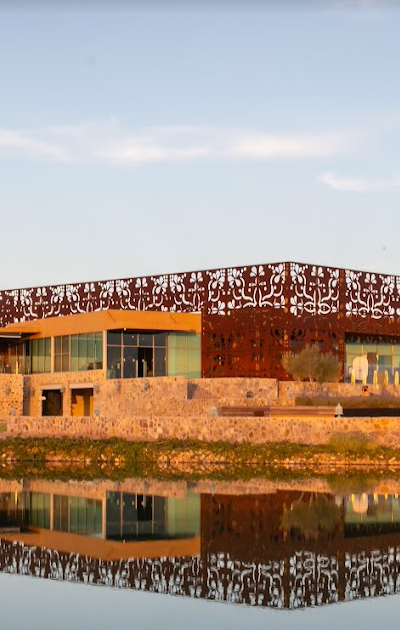 Tres Raíces Vineyard Tasting & Tour